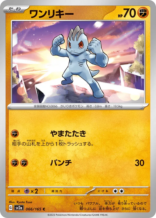 MACHOP (066/165)